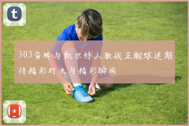 303黄蜂与凯尔特人激战正酣球迷期待精彩对决与精彩瞬间