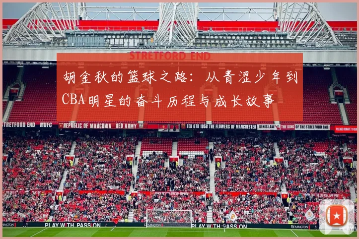 胡金秋的篮球之路：从青涩少年到CBA明星的奋斗历程与成长故事