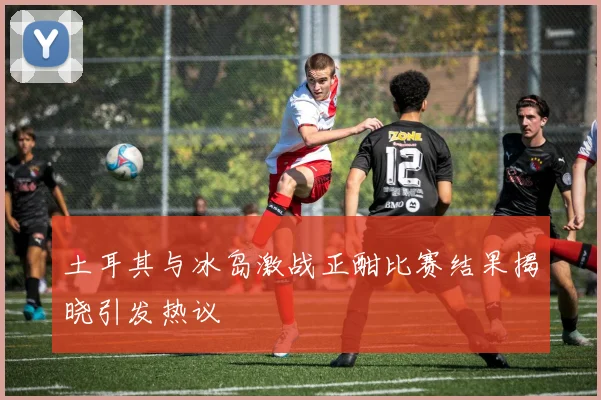 土耳其与冰岛激战正酣比赛结果揭晓引发热议