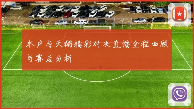 水户与天鹅精彩对决直播全程回顾与赛后分析