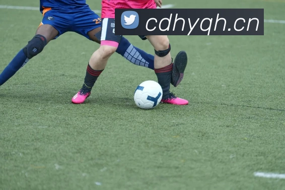 九游体育平台生态图